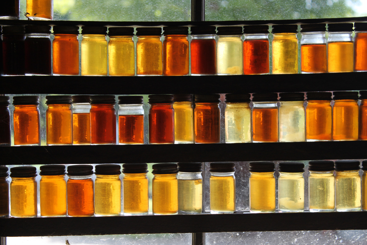 Основные отличия светлых сортов мёда от тёмных