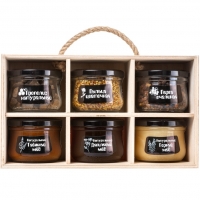 Подарочный набор меда и пчелопродуктов “Altai PREMIUM-6” таежный, горный, дягилевый, перга, пыльца, прополис